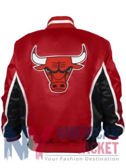 Chicago 1992-93 Bulls Up Warm Jacket