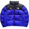 Nuptse Pokémon x North The Face Jacket