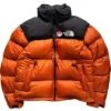 Pokémon x North The Face Nuptse Jacket