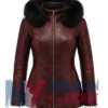 Women's Maroon Distressed Fur Hooded Leather Jacket
