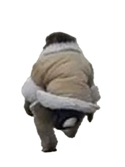 Ikea Monkey Shearling Jacket