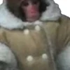 Ikea Shearling Monkey Jacket