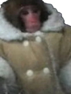 Ikea Shearling Monkey Jacket