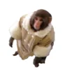 Shearling Ikea Monkey Jacket