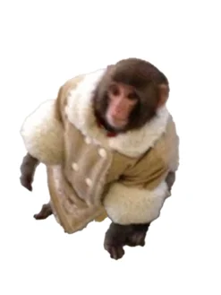 Shearling Ikea Monkey Jacket