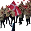 Team Denmark Puffer Hooded Jacket