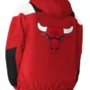 Buy-Now-Chicago-Bulls-Charger-Pullover-Half-Zip-Jacket-For-Men-And-Women.webp