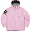 Supreme x The North Face Mountain Pro Pink Jacket