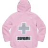 Supreme x The North Face summit series rescue mountain pro Pink jacket