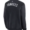 KAWS x MLB New York Yankees Nike Bomber Dugout Jacket