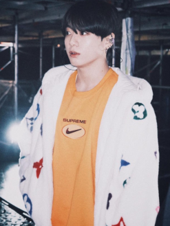 BTS Jungkook Louis Vuitton Monogram Mink Fur Hooded Jacket