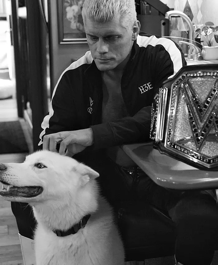Close-up of WWE Cody Rhodes H3E Dog Pharaoh Black And White Fleece Track Jacket