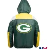 NFL Green Bay Packers Charger Polyester Green Half-Zip Pullover Hooded Jacket back view