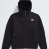 The North Face Retro Denali Hoodie Style Jacket